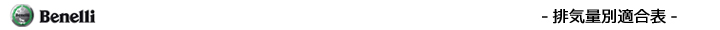 排気量別エボリューション適合表（ベネリ）