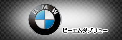 BMWのCYCカラーチェーン適合検索