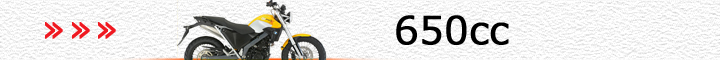 BMW車（650cc）