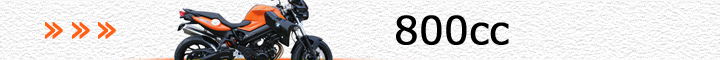 BMW車（800cc）