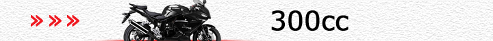 ヒョースン車（300cc）