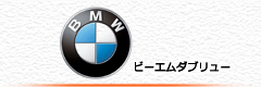 BMWのエボリューション適合検索