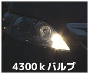 ポジションランプ/4300k