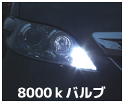 ポジションランプ/8000k