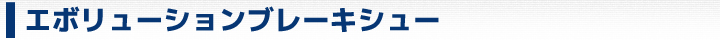 EVOLUTIONブレーキシュー