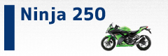 Ninja250